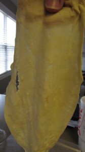 Egg Roll Wrap - Too Thin