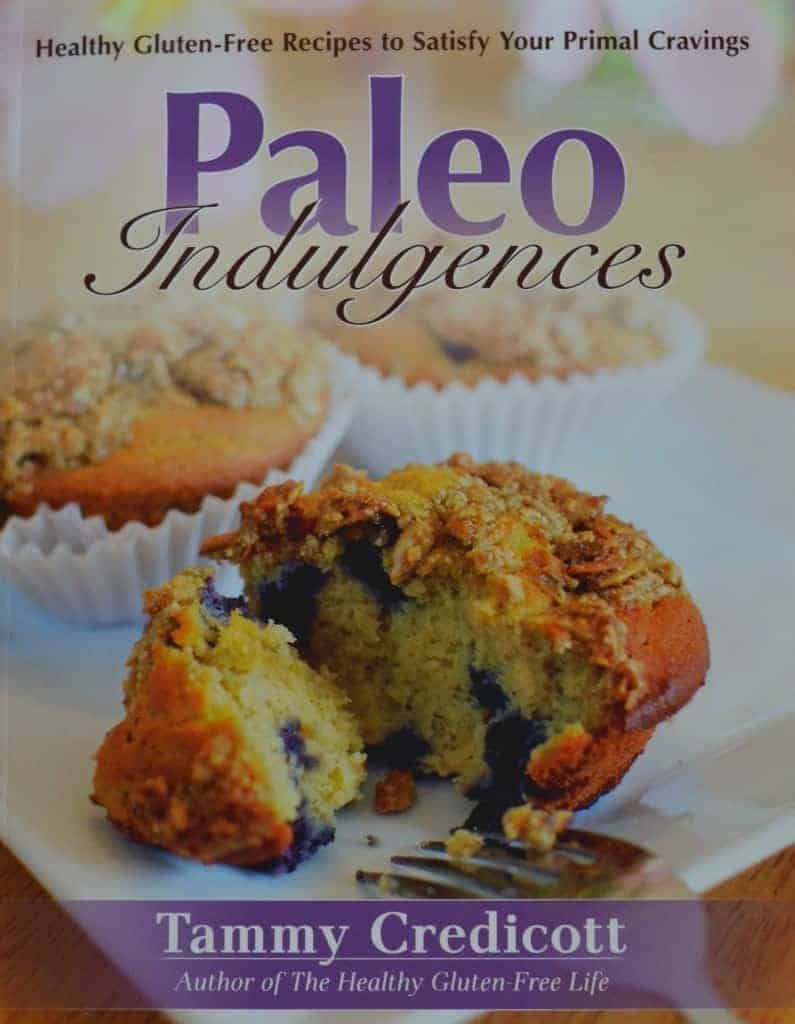 Paleo Graham Crackers From Paleo Indulgences