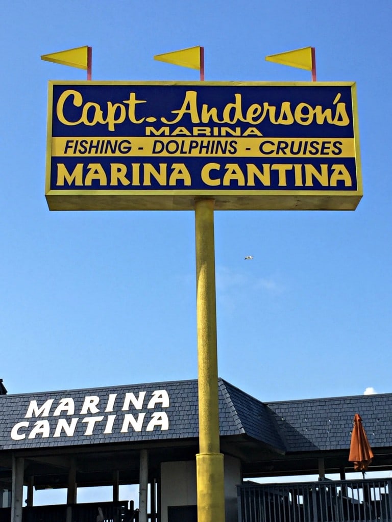 captain anderson dinner cruise