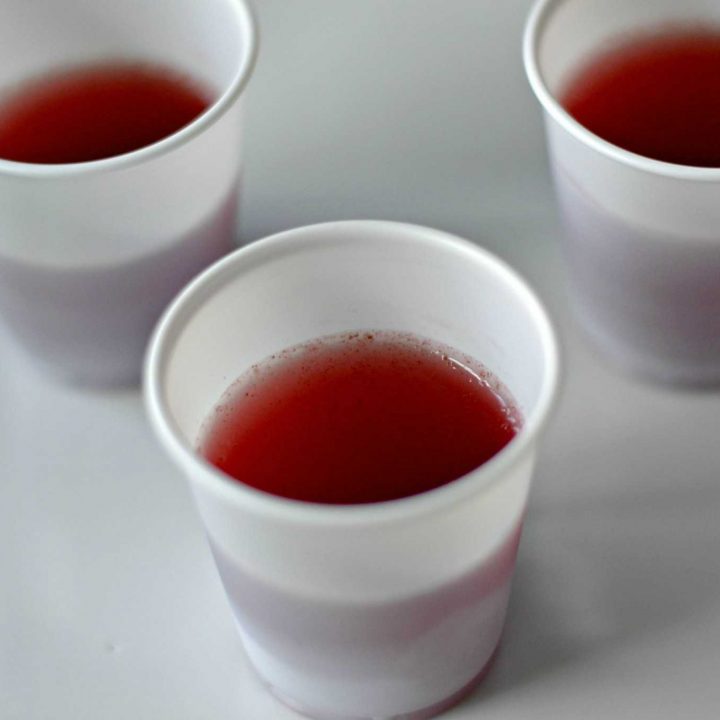 Probiotic Gelatin Shots