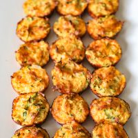 Zucchini Tots