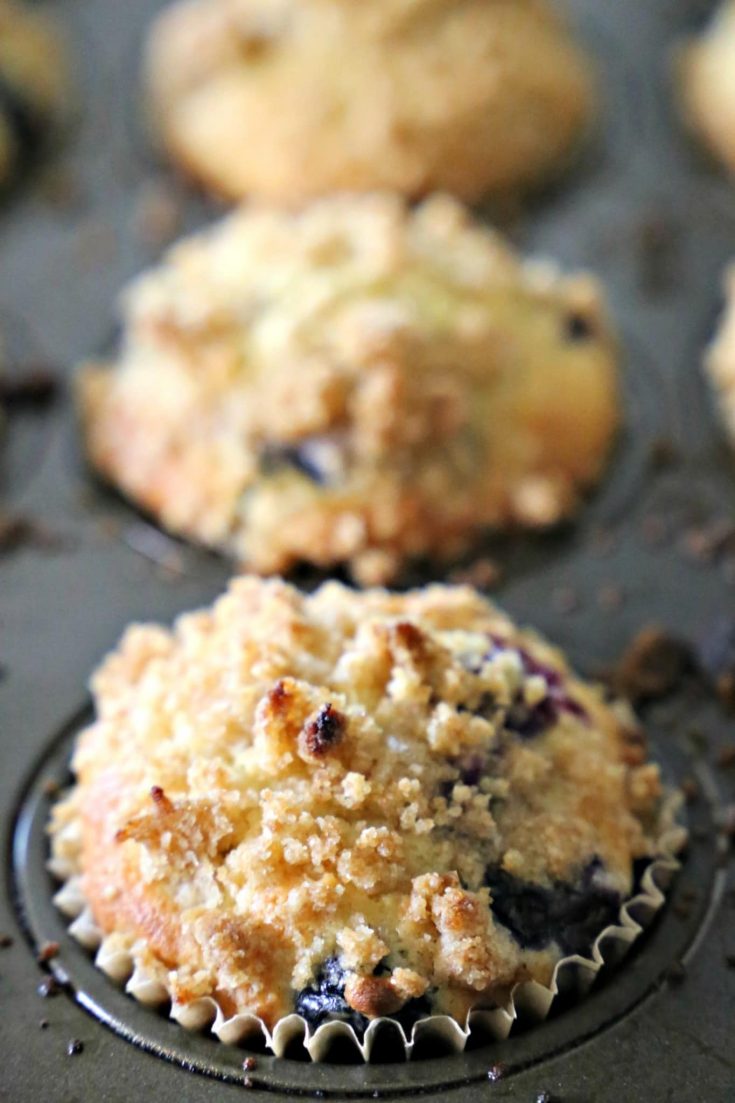 BAKERY-STYLE BLUEBERRY MUFFINS