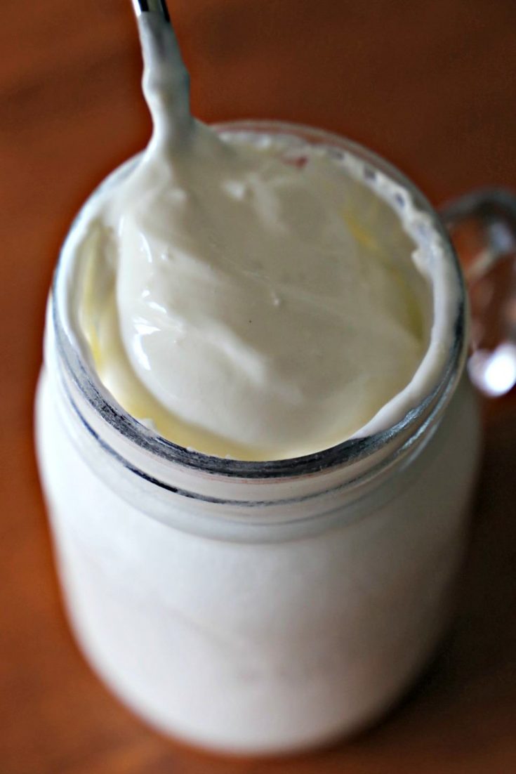 Crème Fraîche from Fermented Foods at Every Meal