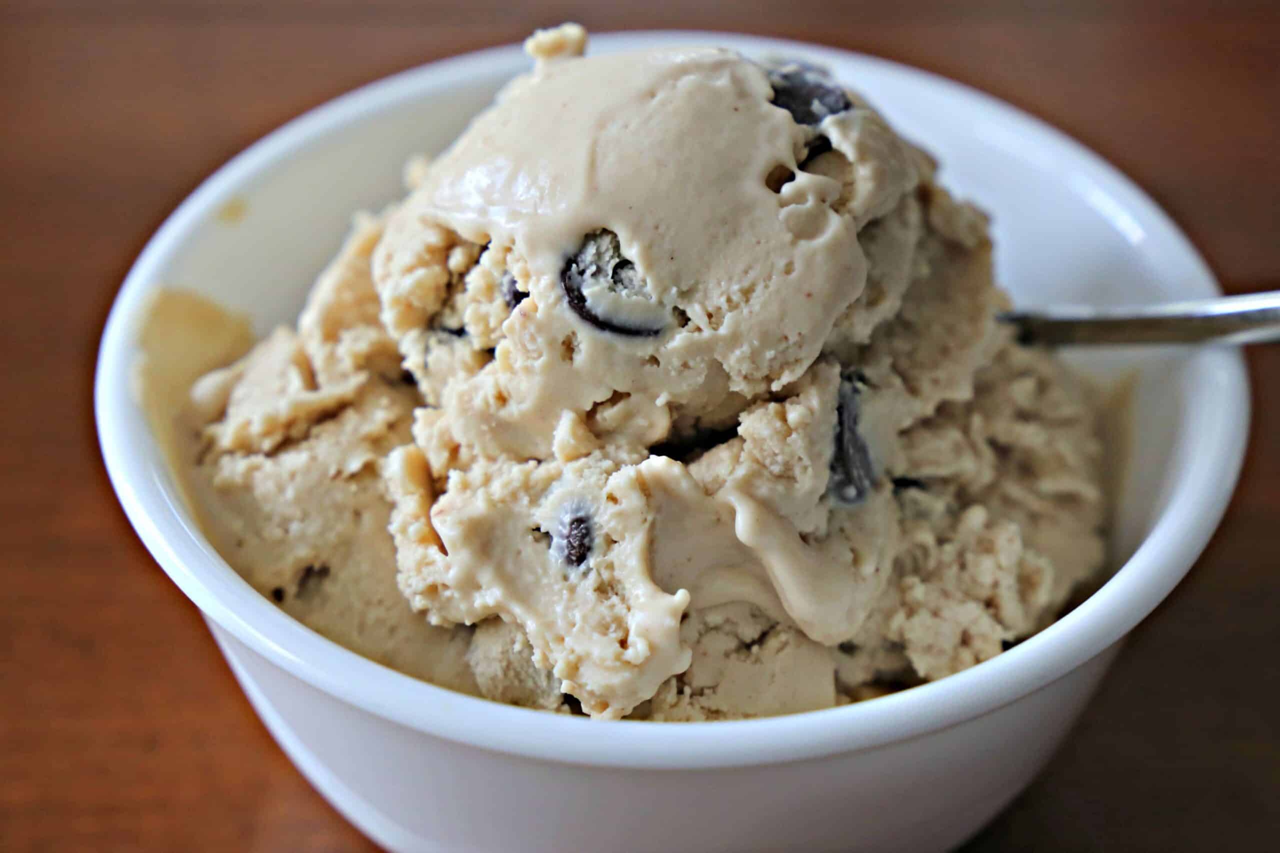 Peanut Butter and Chocolate Chip Ice Cream