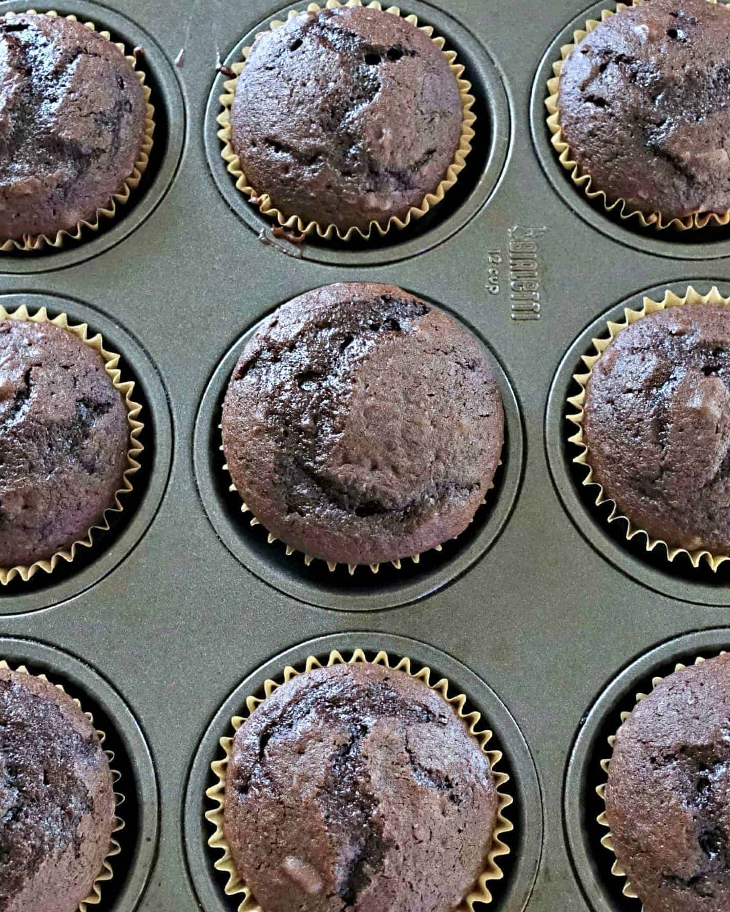 Chocolate Cupcakes in muffin pan