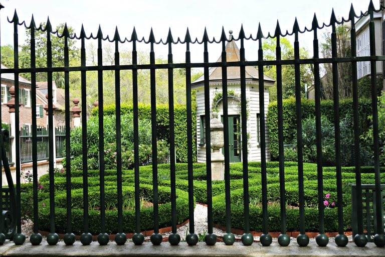 Wrought Iron Gate and oleander