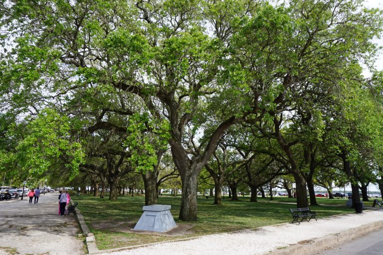 Charleston, South Carolina's Battery
