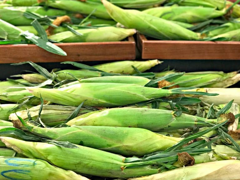 corn at the supermarket