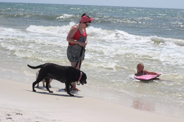 If dog friendly beach vacations are a priority for your family, look no further than Cape San Blas as a destination. It was voted the #1 dog friendly beach in the USA with good reason.