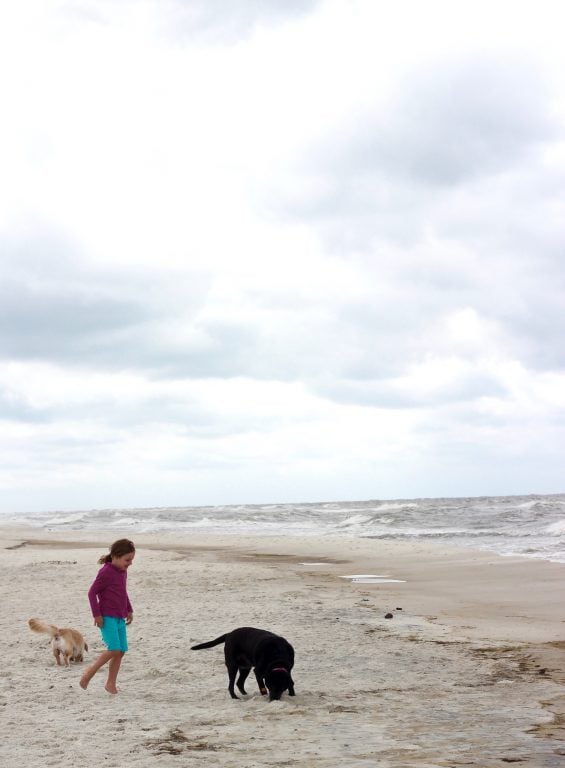 If dog friendly beach vacations are a priority for your family, look no further than Cape San Blas as a destination. It was voted the #1 dog friendly beach in the USA with good reason.