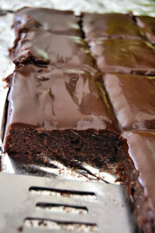slices of chocolate brownie cake
