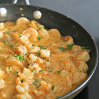 Texas Coast Shrimp Scampi