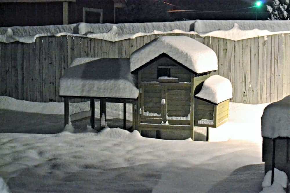 Chickens In The Mail Snow capped chicken coop.