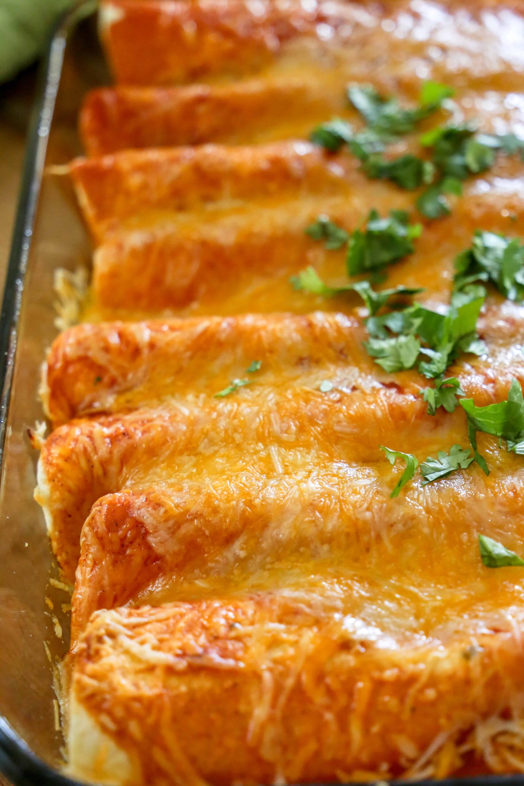 These Zesty Cheesy Enchiladas will be the star of your next TexMex dinner. Red enchiladas in a pan topped with cilantro.