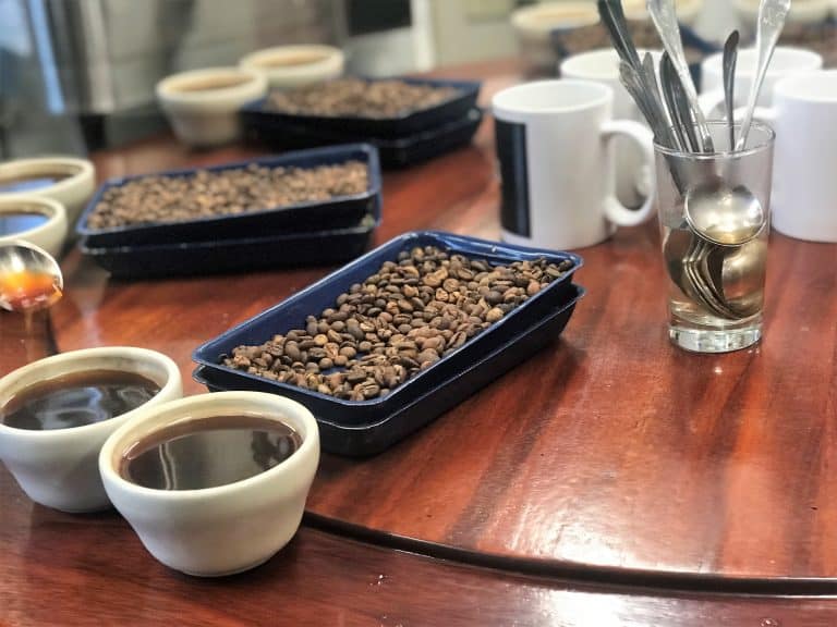 Coffee Cupping coffee cupping