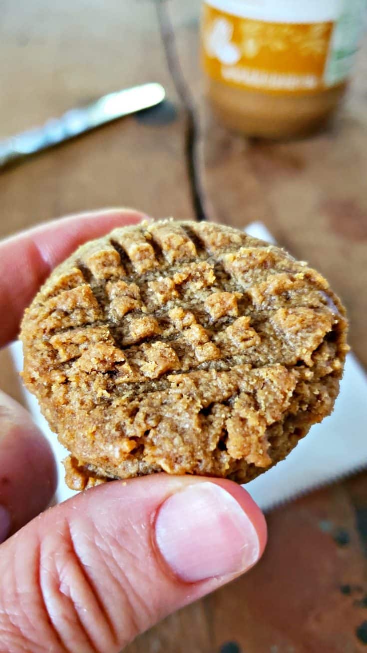Peanut Butter Cookies