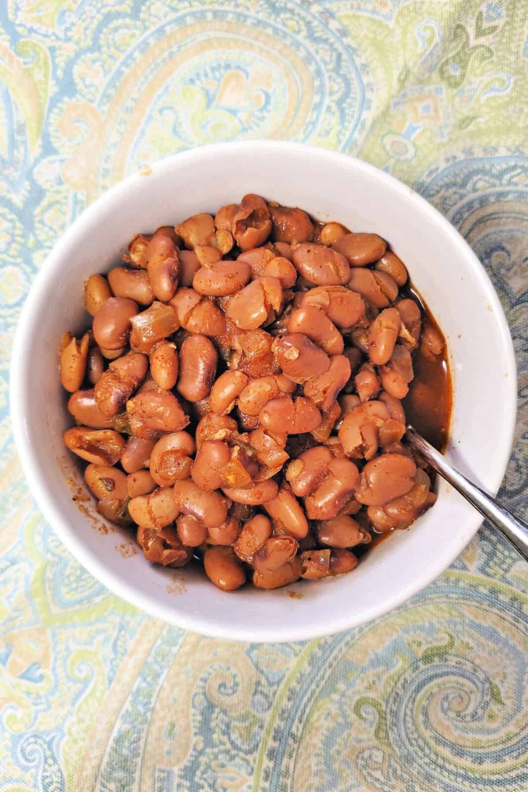 Instant Pot Pinto Beans Southern Kissed