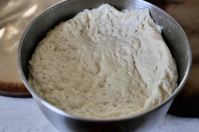 proofed pizza dough