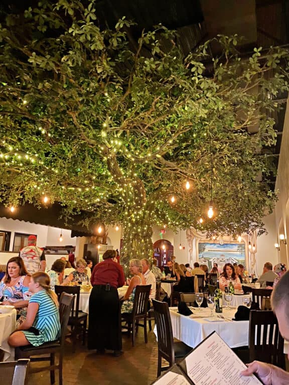 Tree inside Firefly