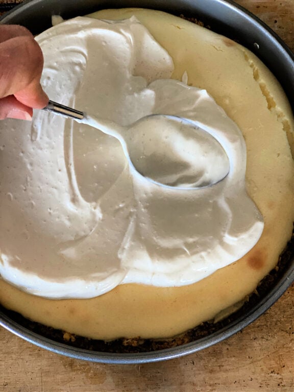 sour cream layer