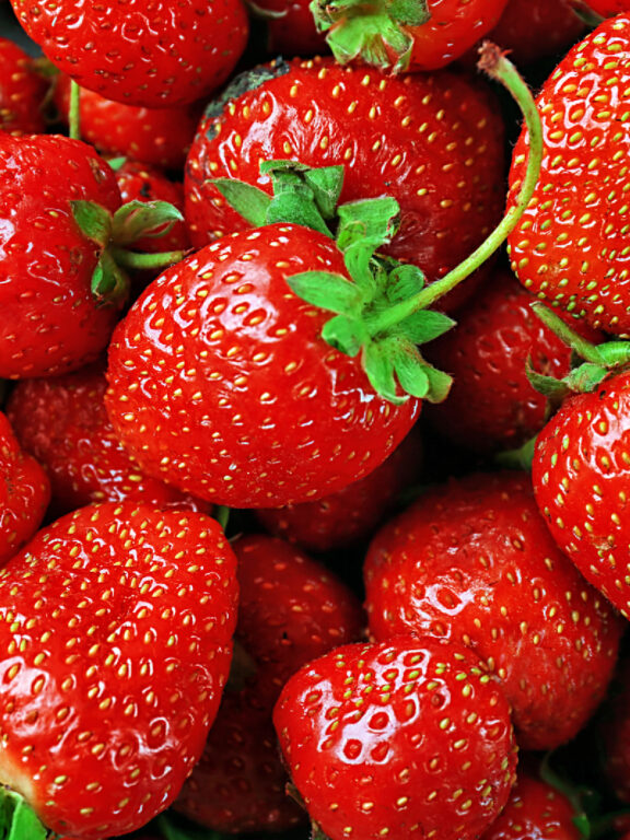 fresh strawberries