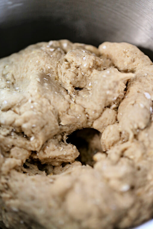 Whole Wheat bread dough
