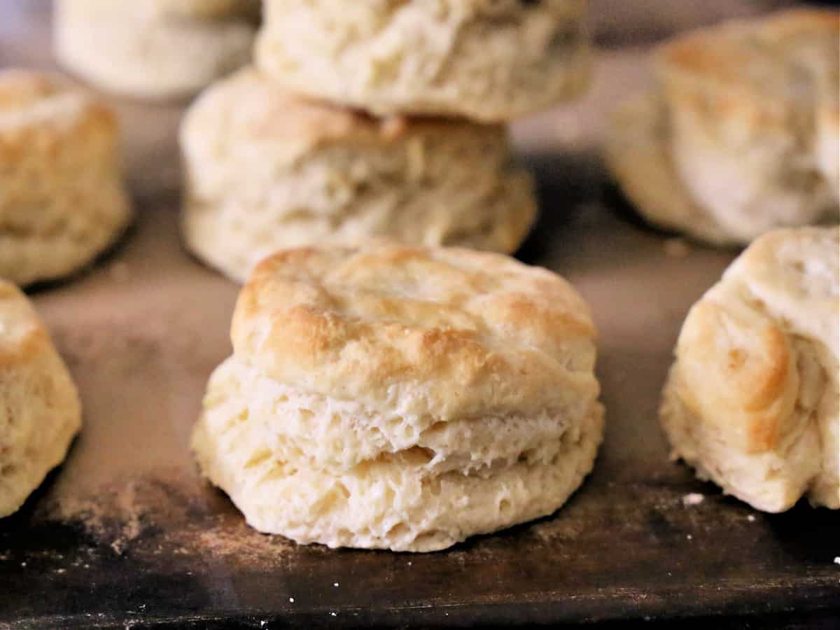 Southern Style Homemade Biscuits Recipe