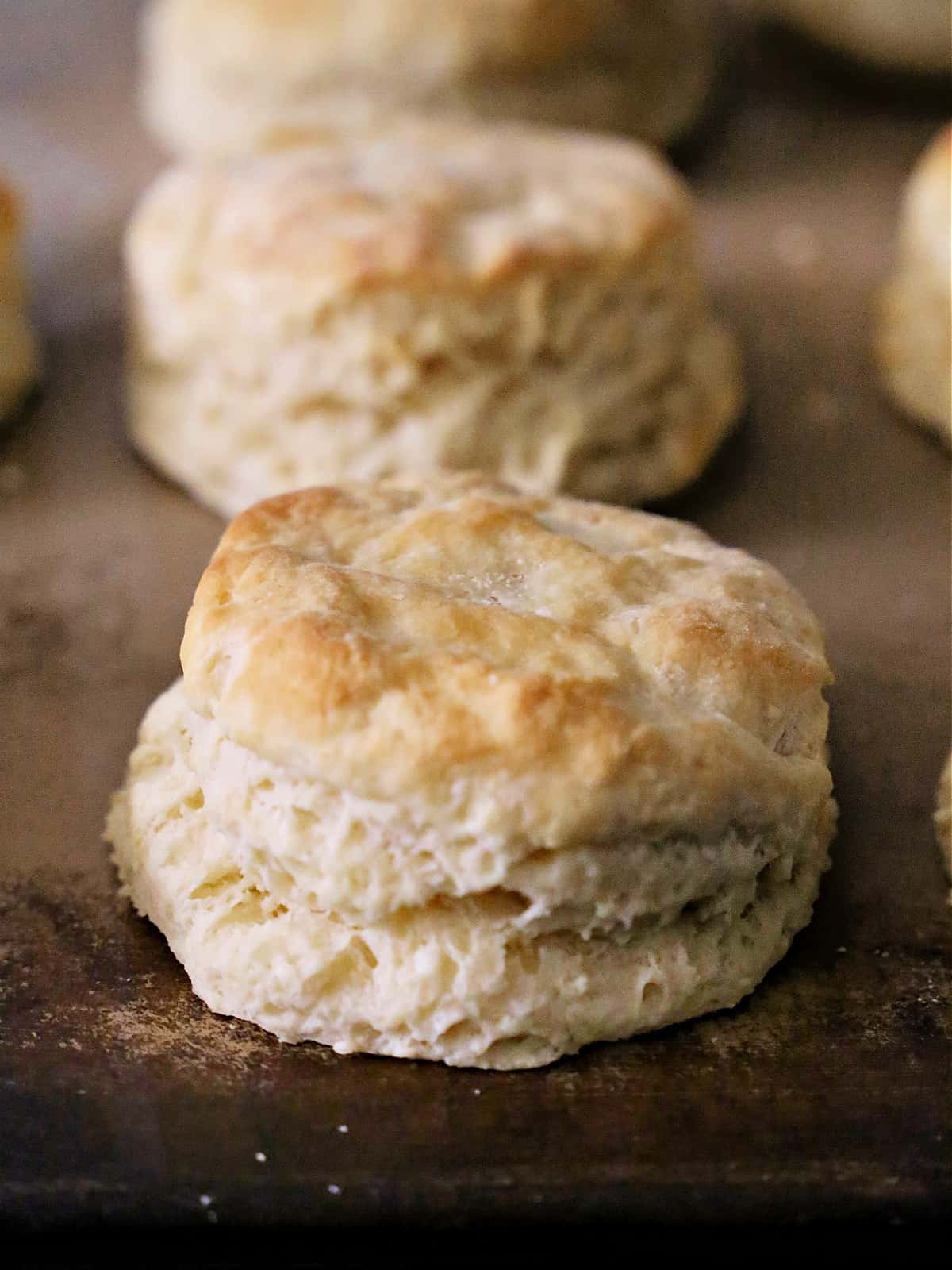 Southern Biscuits Easy Southern Style Homemade Biscuits Recipe 