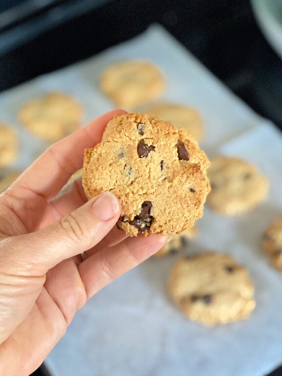person holding a chocolate chip cookie