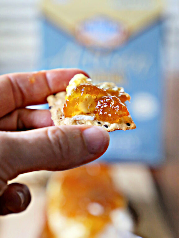 fig appetizer