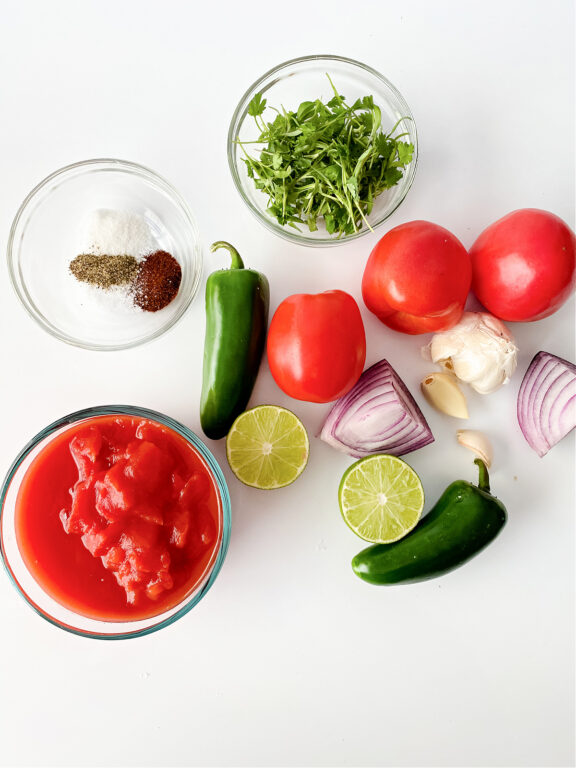 tomatoes, jalapeno, seasoning, red onion, garlic, and cilantro