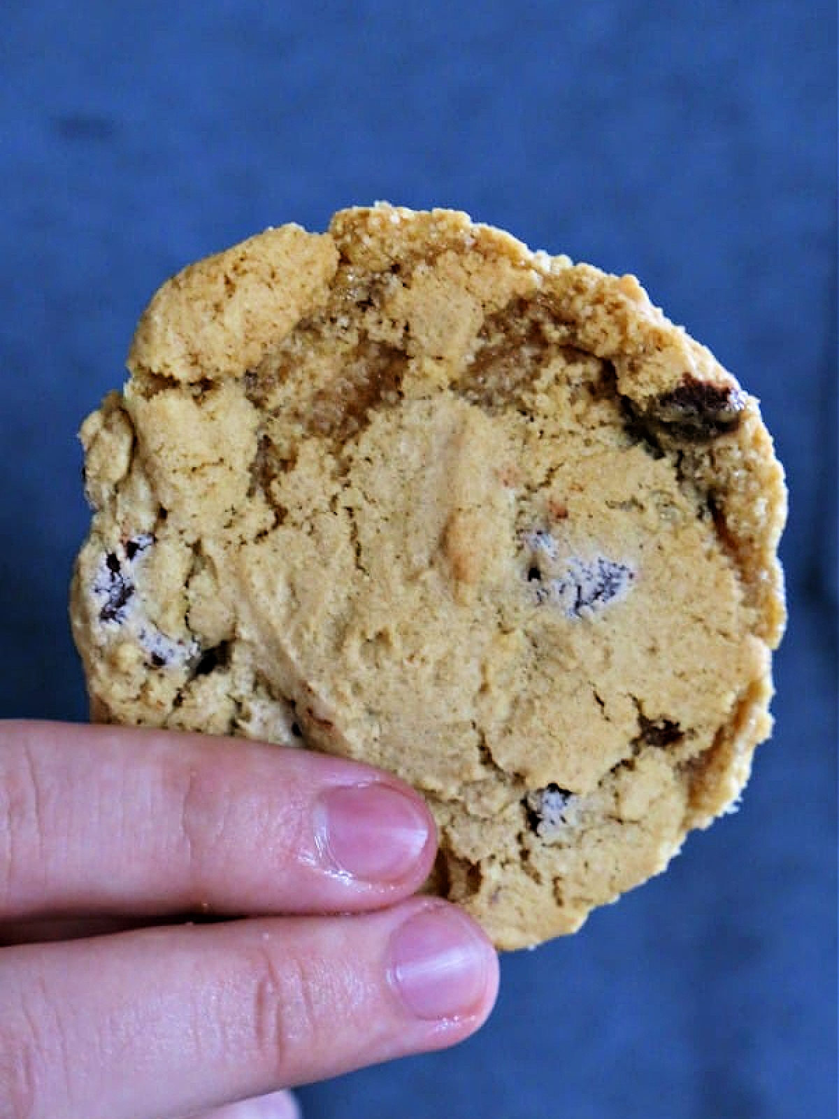 Woman's hand holding a chocolate chip cookie.