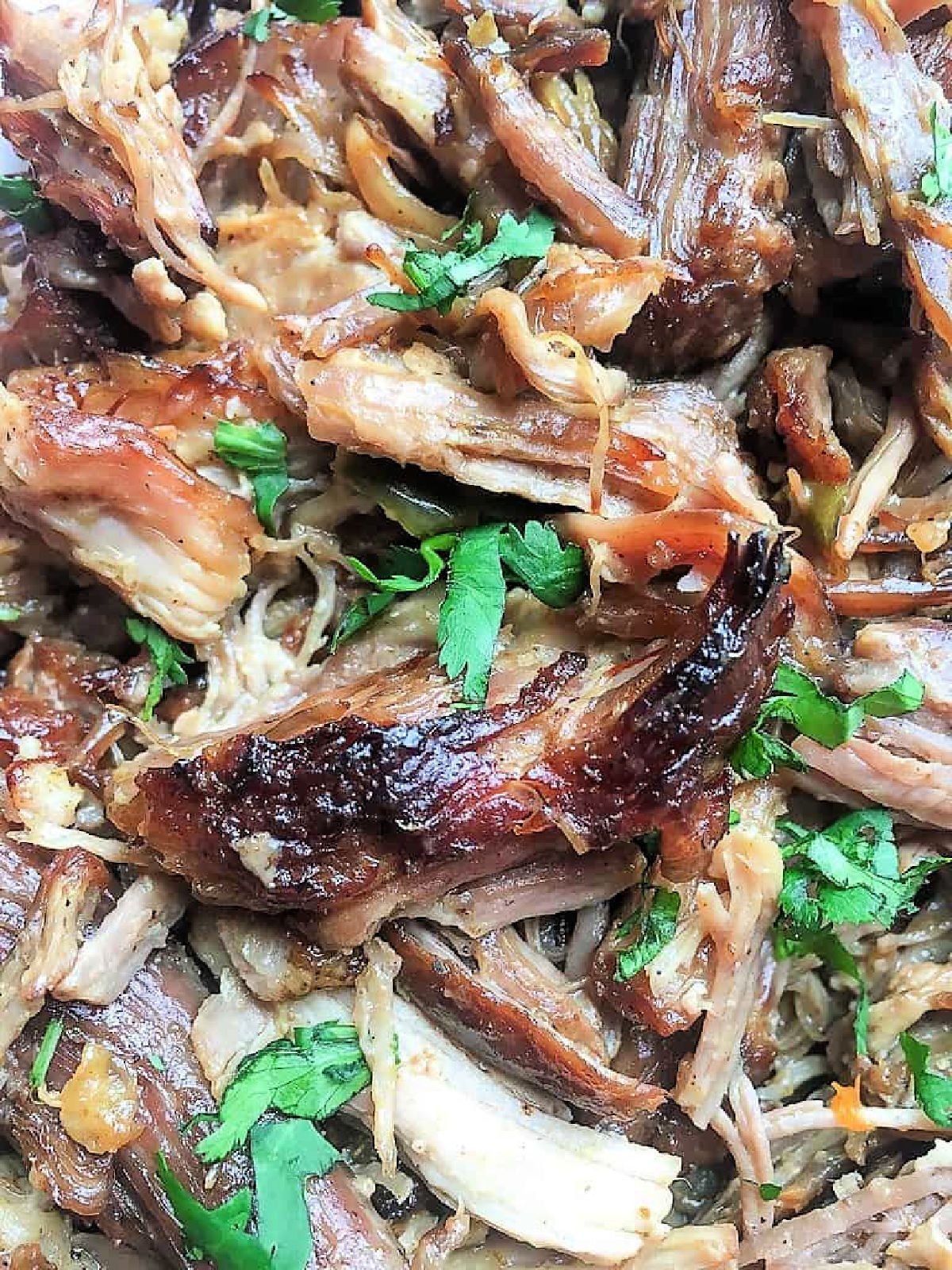 Close up view of pork carnitas with cilantro.