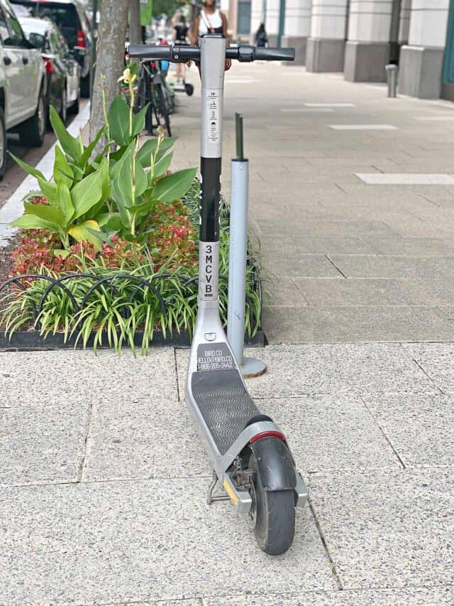 Renting an Electric Scooter in DC Southern Kissed
