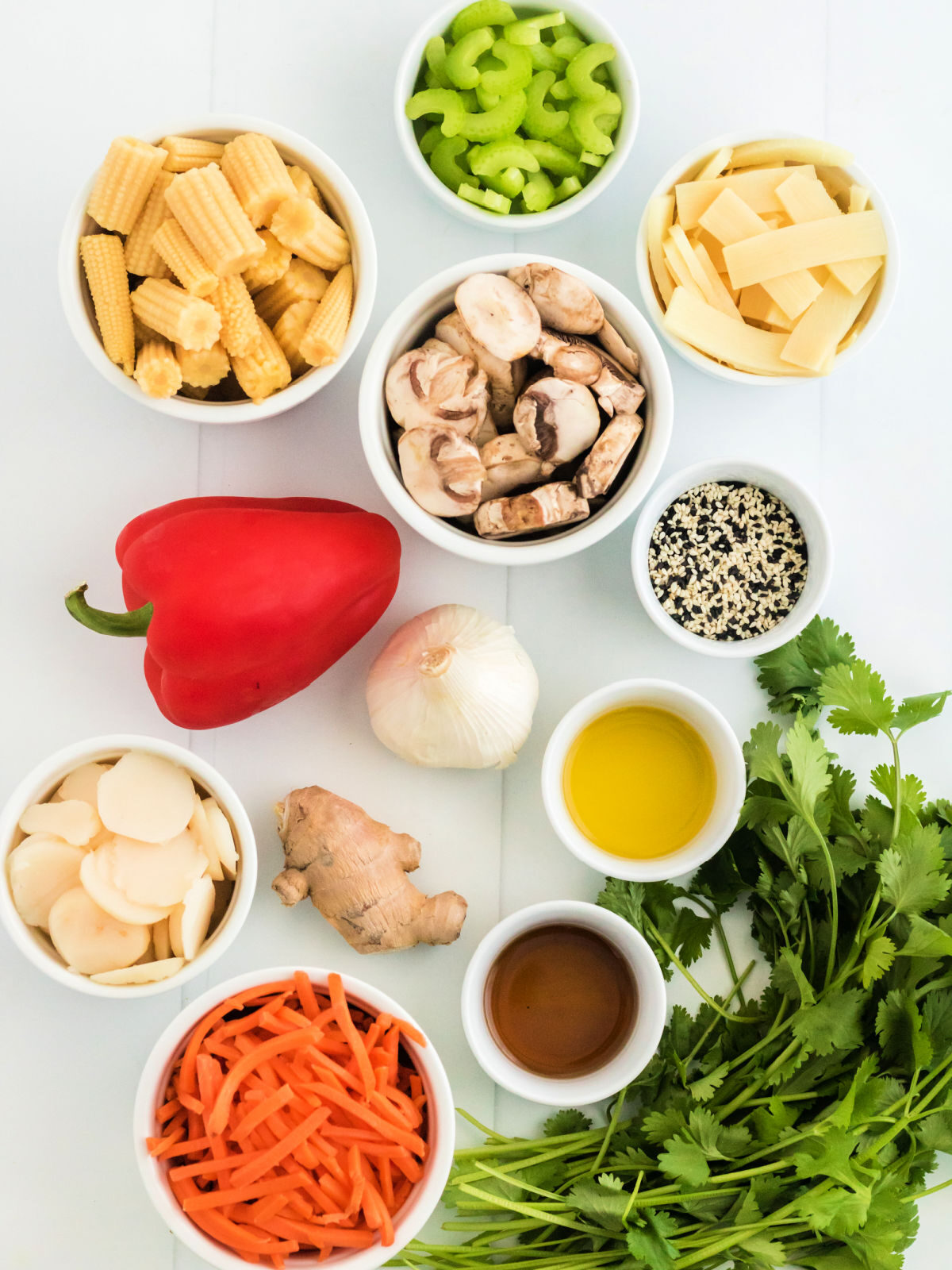 Baby corn, red bell pepper, mushrooms, celery, bamboo shoots, carrot, and ginger.