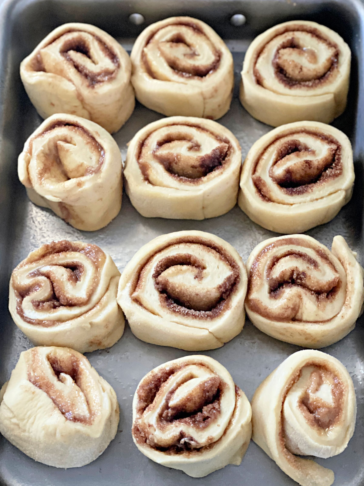 Cinnamon rolls with brown sugar filling in a 9x13 baking dish before rising.