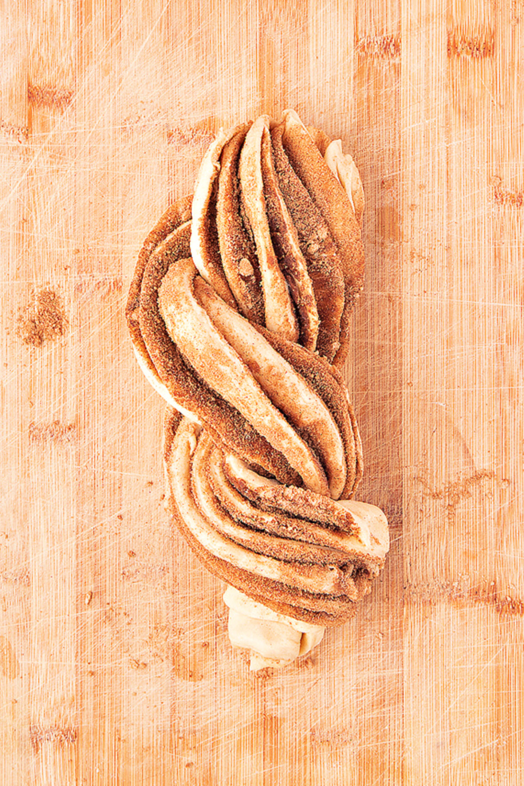 Homemade Cinnamon Babka Southern Kissed