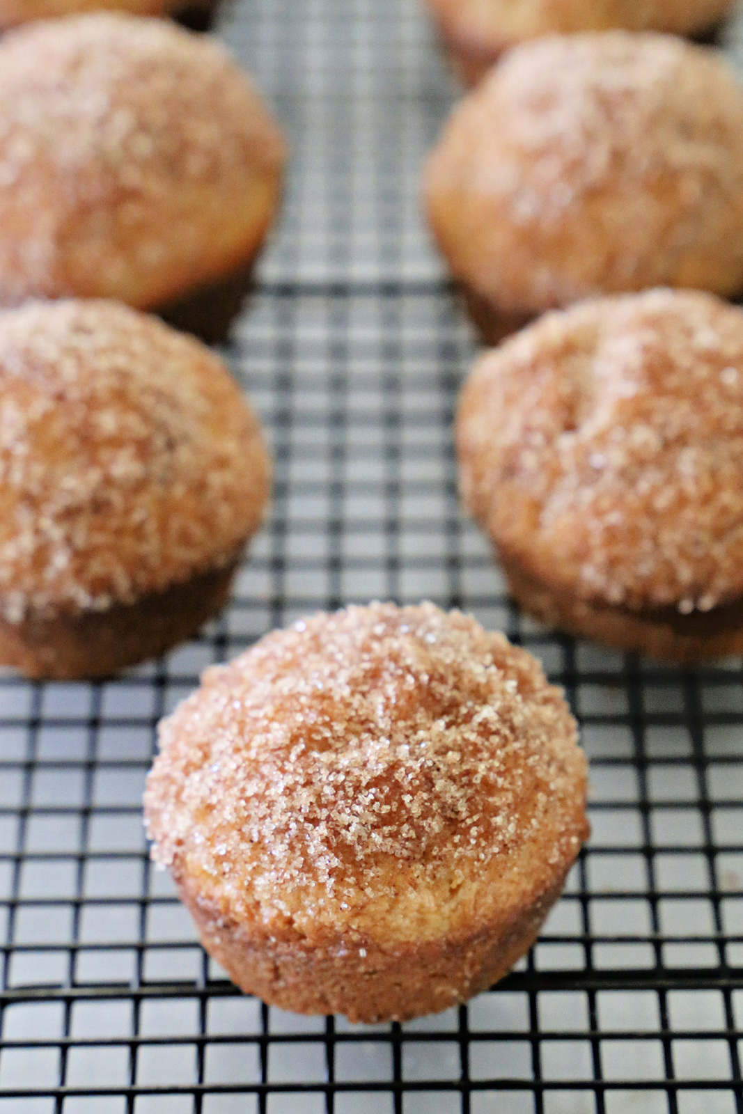 Cinnamon Sugar Breakfast Muffins Southern Kissed