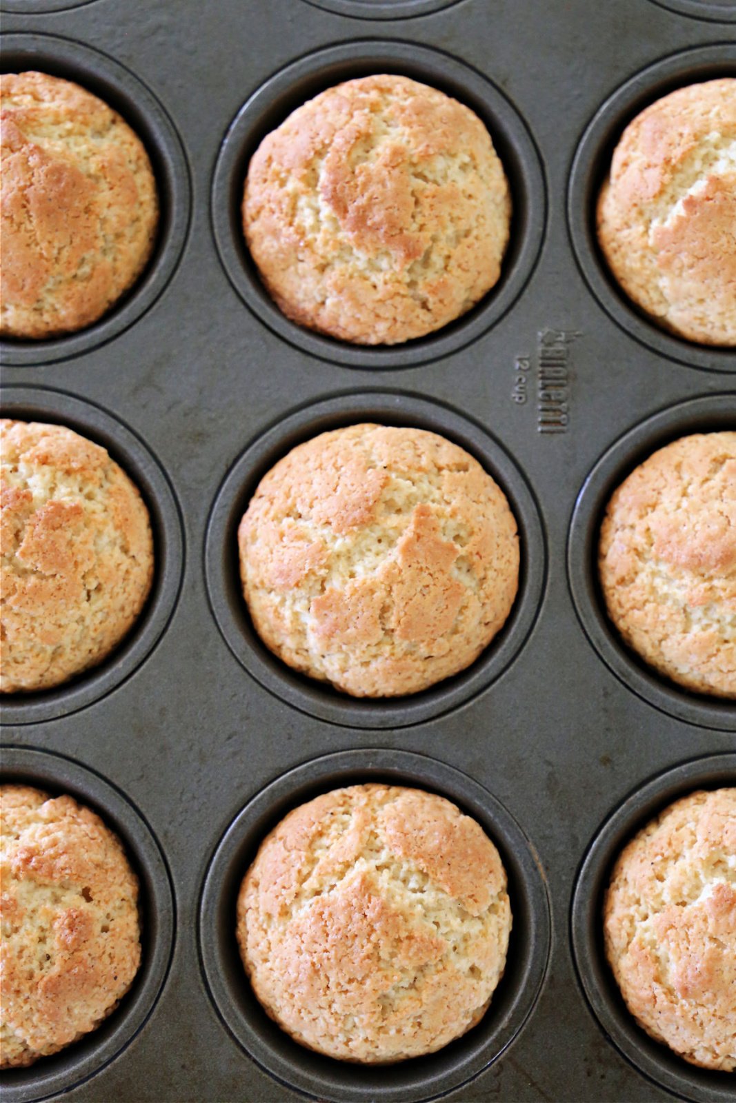 Cinnamon Sugar Breakfast Muffins Southern Kissed