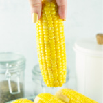 Woman's hand holding an ear of corn.