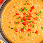 Skillet of Velveeta RoTel dip topped with diced tomatoes and green onions.