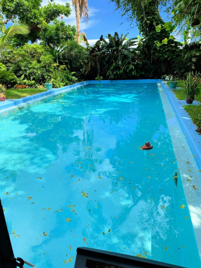 The Ernest Hemingway House and Museum in Key West Southern Kissed