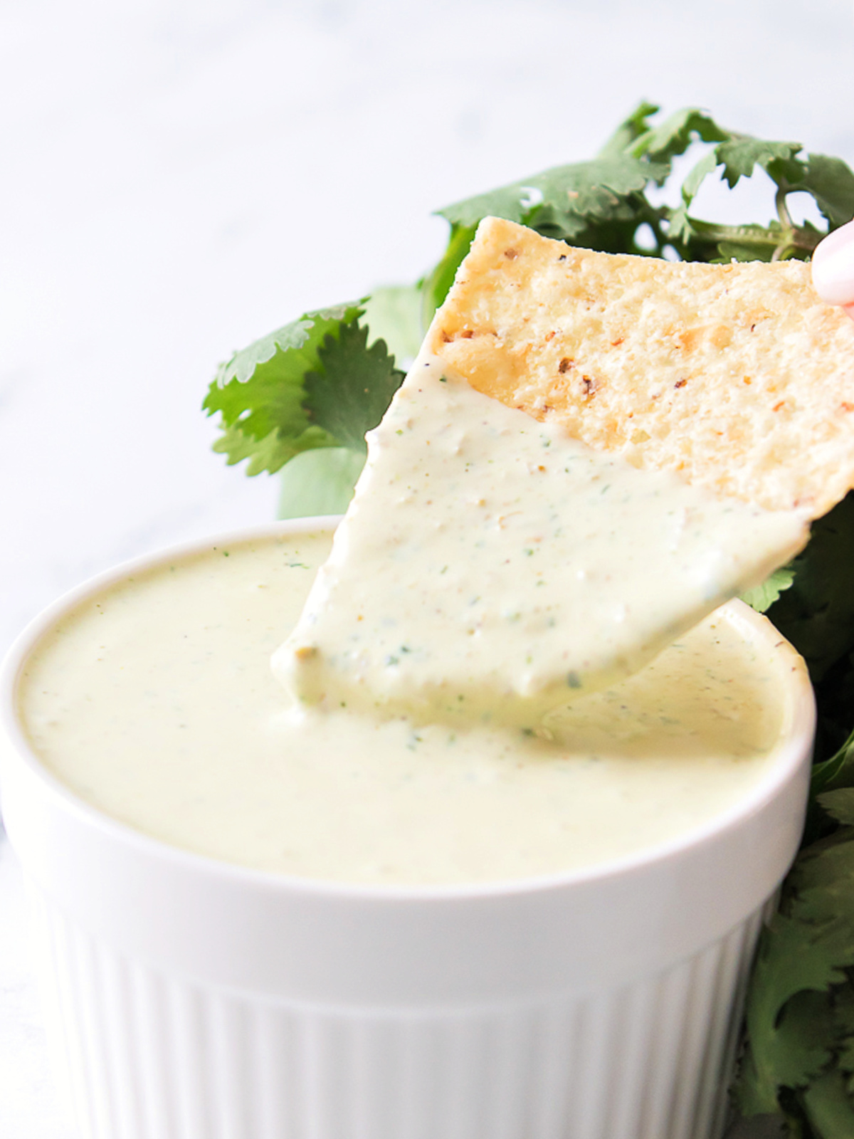 Tortilla chip dipped into a bowl of creamy jalapeño ranch dressing.