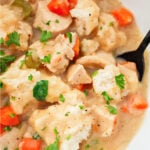 Bowl of chicken and dumplings.