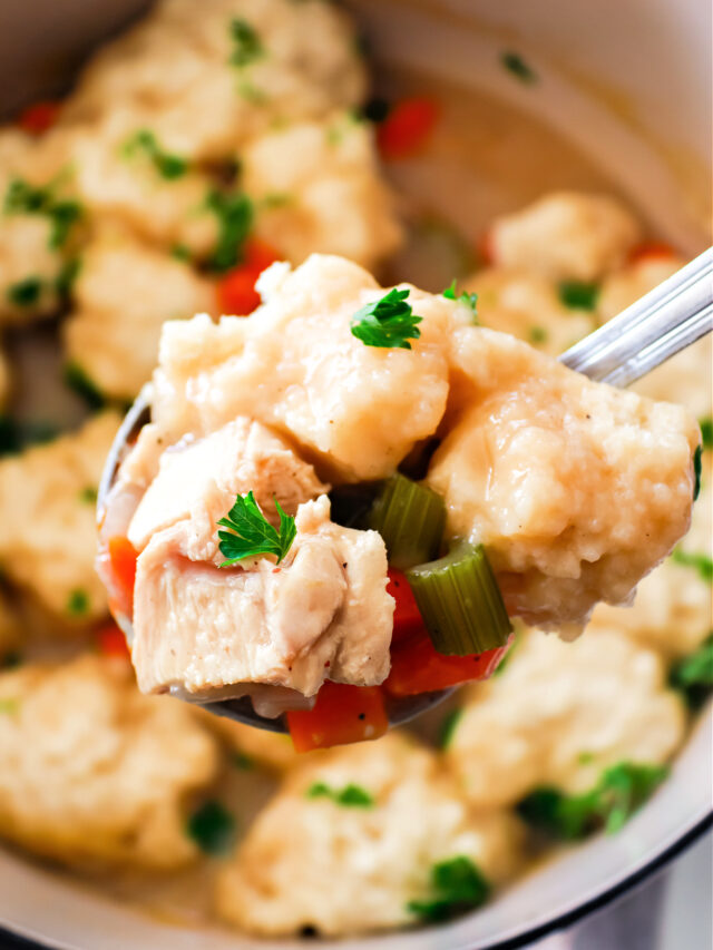 How To Make Chicken and Dumplings Using Bisquick Southern Kissed