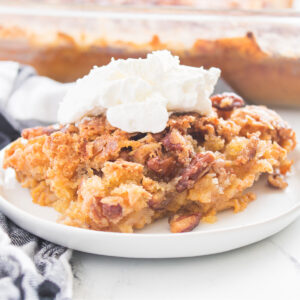 Rich, spiced slice of Pumpkin Crunch Cake highlighting the crunchy pecan layer and moist pumpkin base.