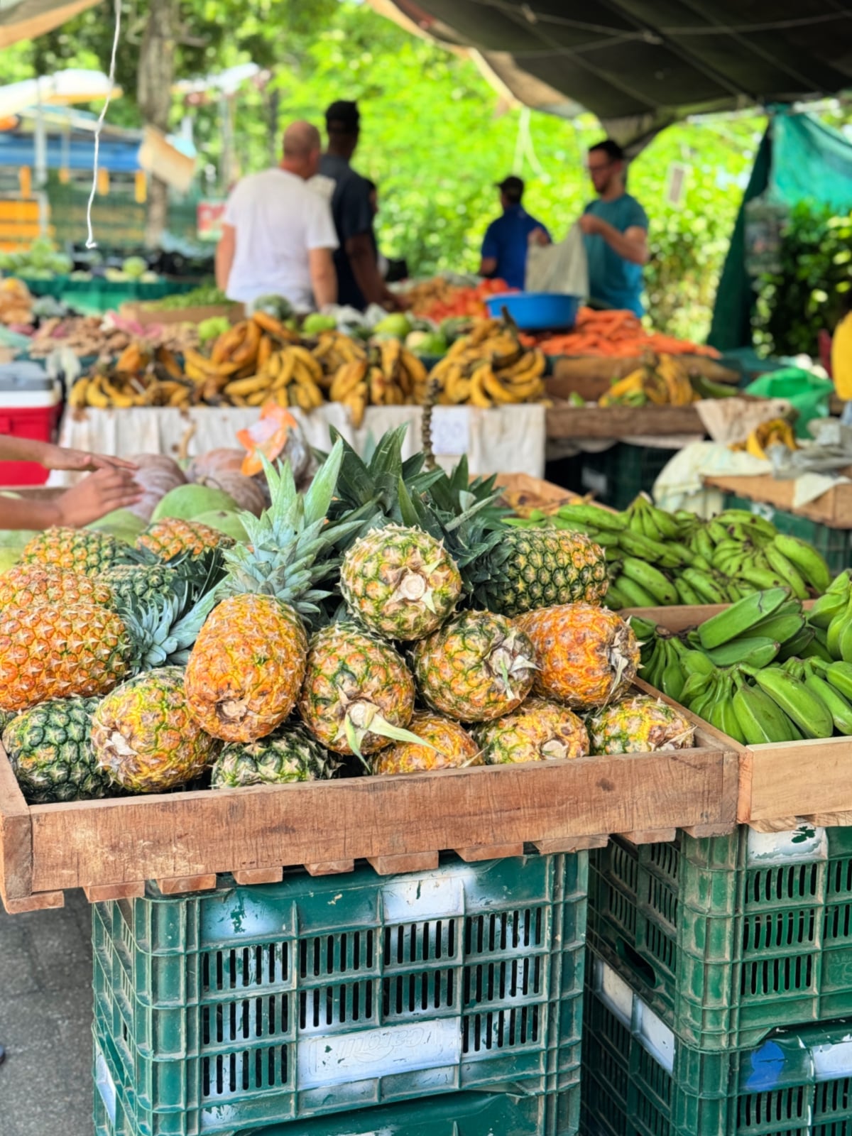 Fresh pineapples, bananas, and green plantains displayed at an open-air market in Costa Rica.